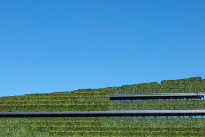Scenic view of field against clear blue sky