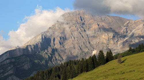 mountain