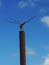 Low angle view of dragonfly on wooden post against sky