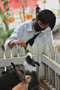 Rear view of woman and rabbit