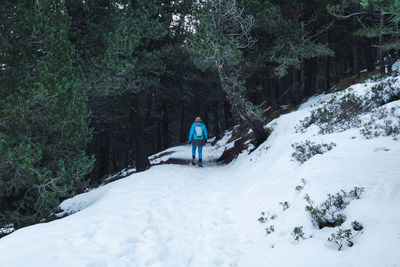 Rear view of person on snow covered land