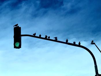 Low angle view of birds perching on street light