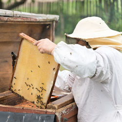 Beekeeper holding up tray of honeycomb at park