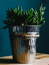 Close-up of a potted plant on the table