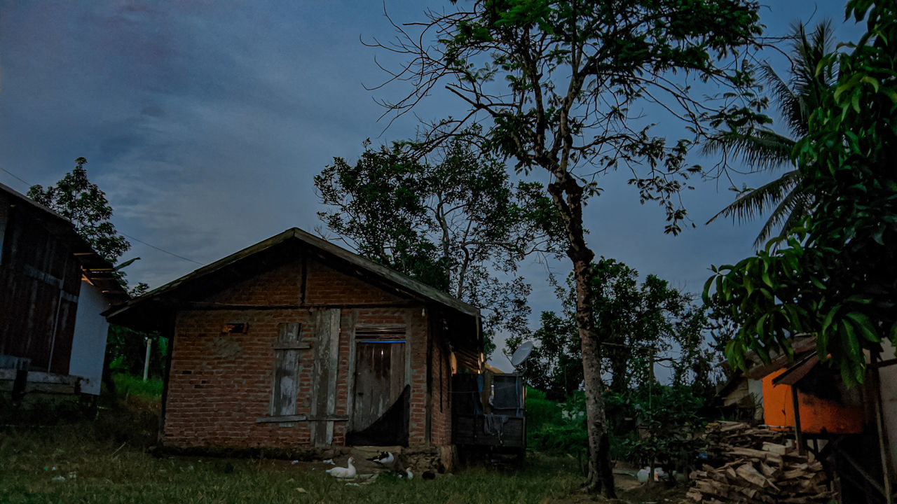 architecture, plant, rural area, built structure, building exterior, tree, house, building, sky, nature, shack, residential district, no people, landscape, cloud, home, grass, rural scene, outdoors, wood, land, village, hut, abandoned, day