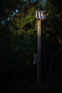 Information sign on pole in forest