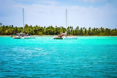 Sailboats in sea against sky