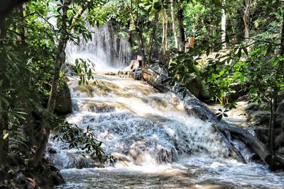 Scenic view of waterfall in forest