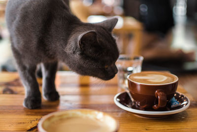 Close-up of coffee cup on table