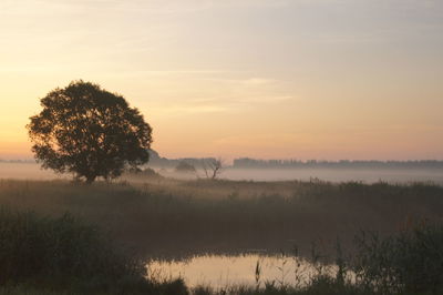 Scenic view of lake at sunset