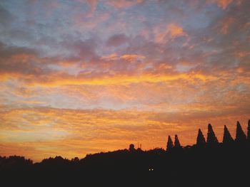 Silhouette of trees against dramatic sky