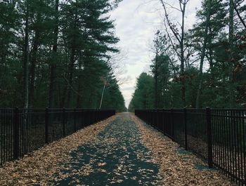 View of trees on landscape against sky