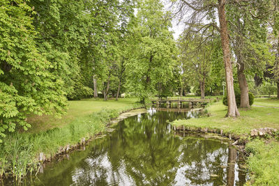 Scenic view of lake in forest