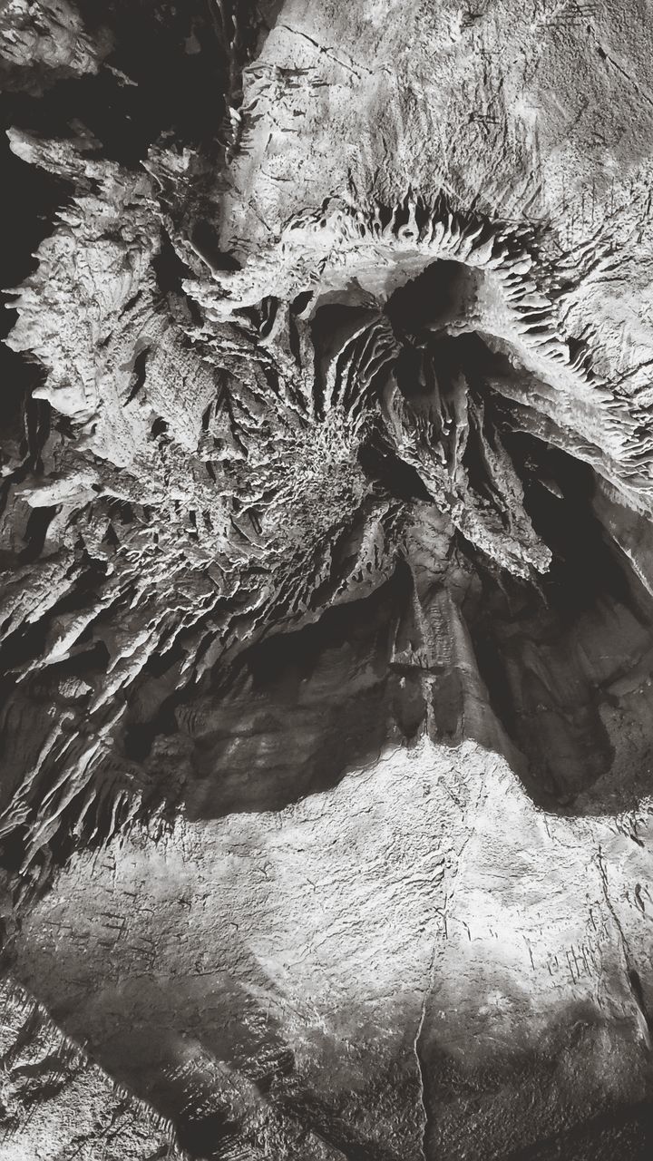 FULL FRAME SHOT OF ROCK ON TREES