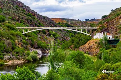 Bridge over river