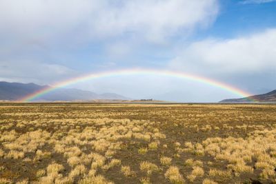 Scenic view of rainbow over field