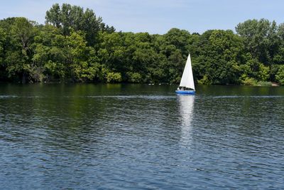 Sailboat sailing in sea