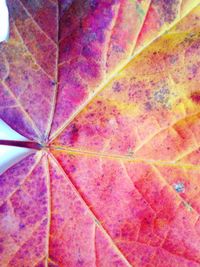 Full frame shot of multi colored pattern