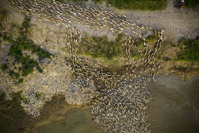 High angle view of stream