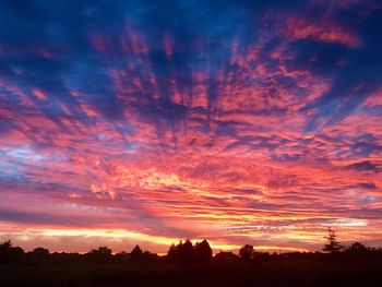 Silhouette trees against dramatic sky during sunset