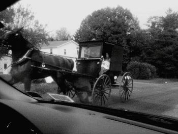 Car on road