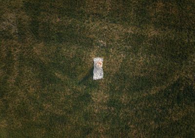 Drone shot of woman sitting on picnic blanket