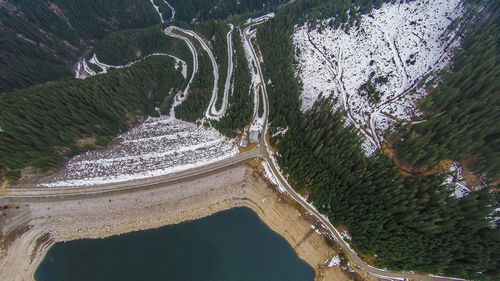 High angle view of river amidst trees