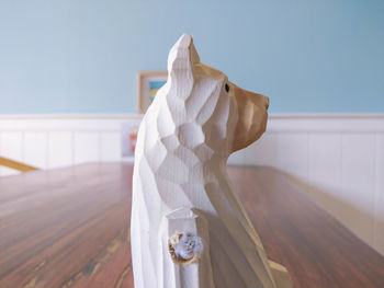 Close-up of white animal on table at home
