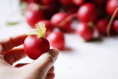 Close-up of hand holding strawberry