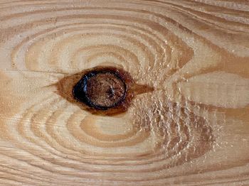 High angle view of hole on wood