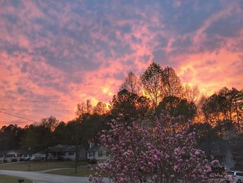 Silhouette of trees against cloudy sky at sunset