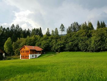 Scenic view of trees and plants on field against sky