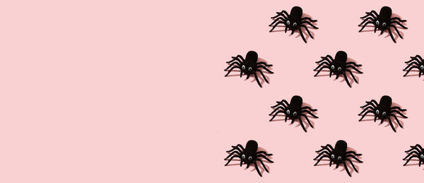 High angle view of silhouette plants against sky