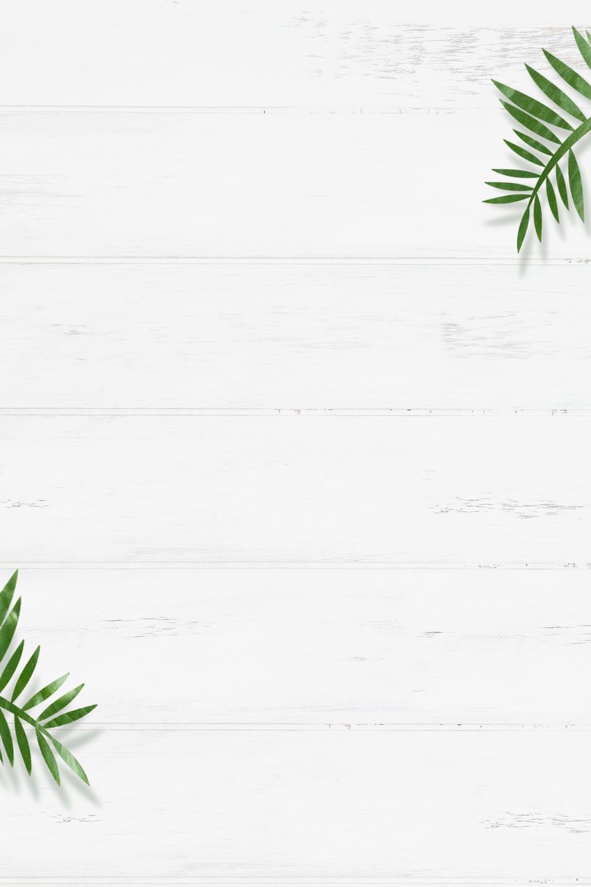 plant, leaf, plant part, no people, branch, copy space, green, tree, wood, nature, herb, indoors, white, palm tree, backgrounds, line, palm leaf, close-up, textured, pattern, pine tree, directly above, table, growth