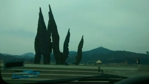 Cactus on mountain against sky