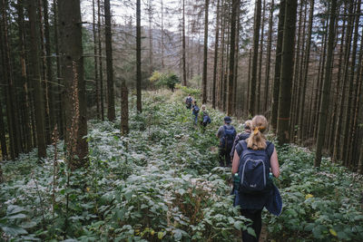 Rear view of couple on road amidst trees in forest