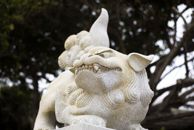 Close-up of angel statue in park
