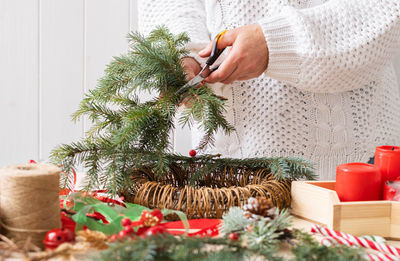 Midsection of woman holding potted plant