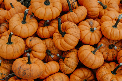 Full frame shot of pumpkins for sale at market