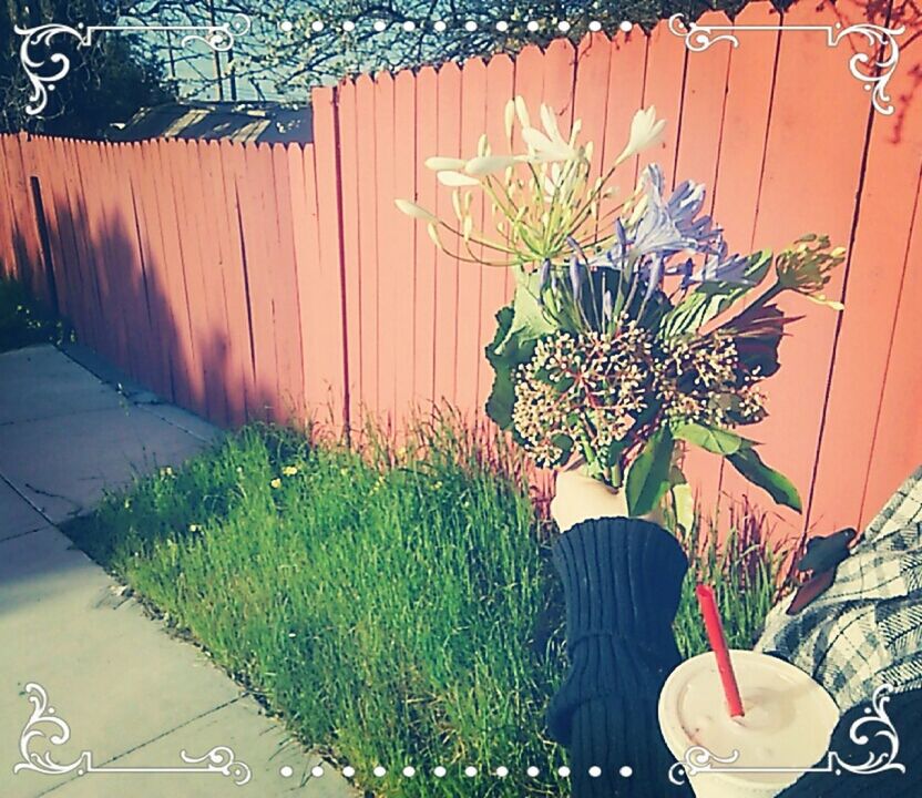 potted plant, plant, flower, wall - building feature, decoration, indoors, freshness, one person, growth, leaf, table, vase, day, green color, front or back yard, built structure, architecture, sunlight, close-up