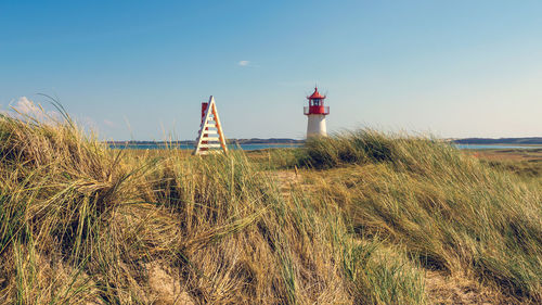 Ellenbogen, sylt