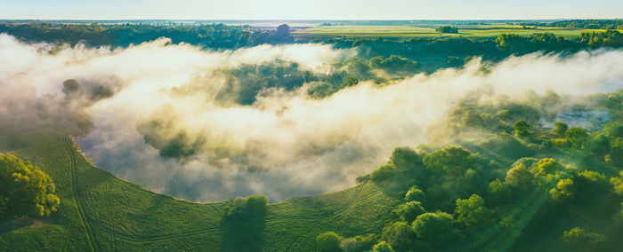 Panoramic shot of trees on land against sky