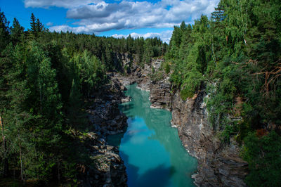 Panoramic view of water flowing through forest