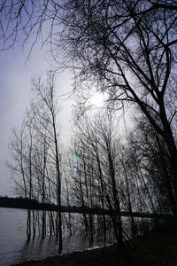 Bare trees by lake against sky