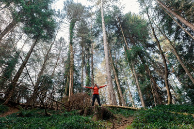 From below woman spreading arms and enjoying freedom while standing on fallen trees during trip in coniferous woodland