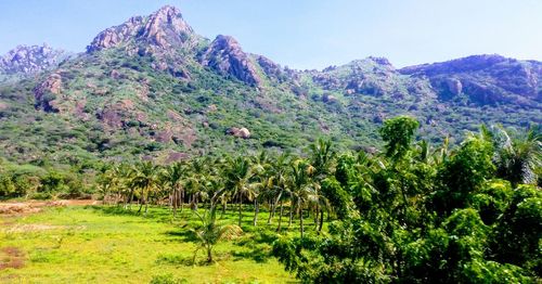 Scenic view of tree mountains against sky