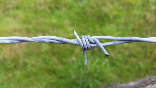 Close-up of barbed wire