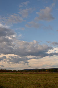 Scenic view of field against sky