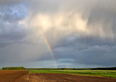 Scenic view of rainbow over field