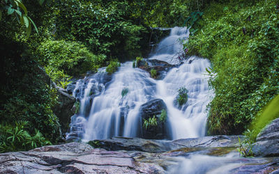 View of waterfall in forest